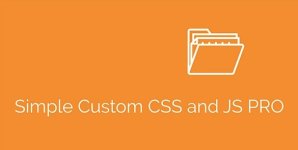 Simple Custom CSS and JS PRO.jpg