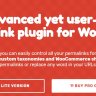 Permalink Manager Pro - Best Wordpress Permalink Plugins