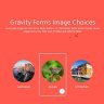 Gravity Forms Image Choices Add-On