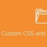 Simple Custom CSS and JS PRO