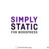 Simply Static Pro