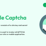 Google Captcha – Dash SAAS Add-On